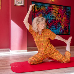Formation de professeur de yoga option yogathérapie 2023 – 2024  Dates et thèmes.